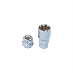 Wielmoersl Set Bolc M12x1.5 F
