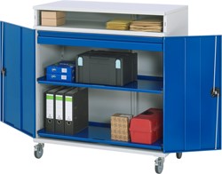 Staande kast 31