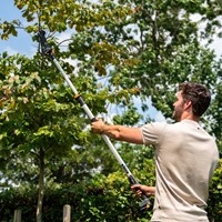 Batavia - Telescoopsteel voor Nexxsaws en takkenschaar 1.15-1.75 m -2