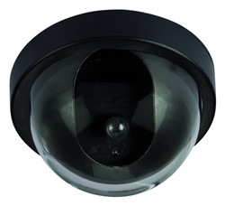 Nepcamera