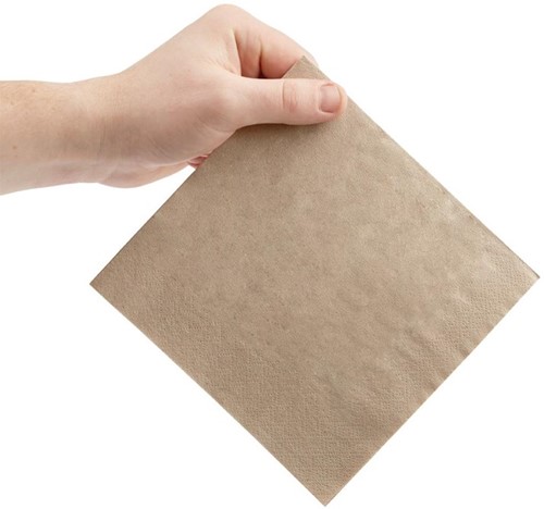 Fiesta Recyclable lunchservetten 1/4 vouw kraft 330mm (2000 stuks)-3
