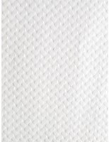 Placemats voor eenmalig gebruik Wit - 300x400mm (500 stuks)