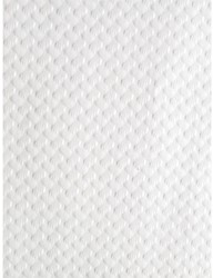 Placemats voor eenmalig gebruik Wit - 300x400mm (500 stuks)