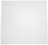 Lunchservet wit 330 x 330 mm 1 laags 1/4 vouw (5000 stuks)-2