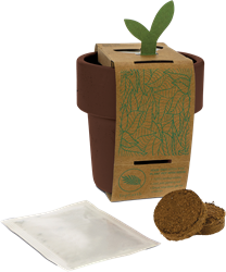 Hot-but-cool beker met aardbeien, basilicum of kerstomaten zaadjes